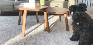 Floor Types Serviced TS & Associates, Certified Flooring Inspectors